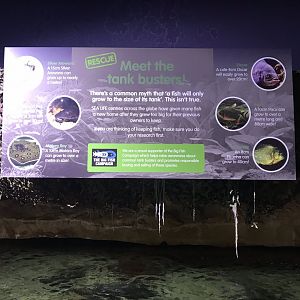 Signage example 090818