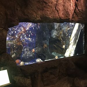 Example exhibit 090818