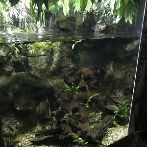 Example exhibit 090818