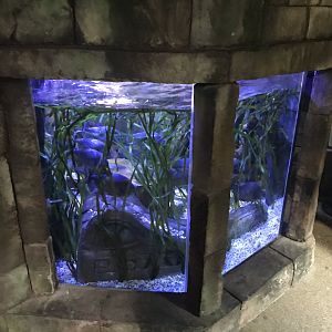 Example exhibit 090818