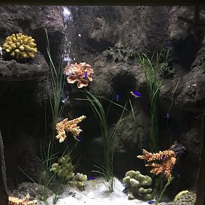 Example exhibit 090818