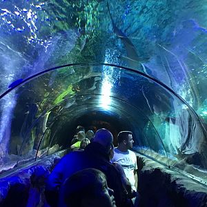 Underwater tunnel 090818