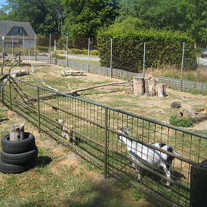Frydenlund Fuglepark - Goat exhibit