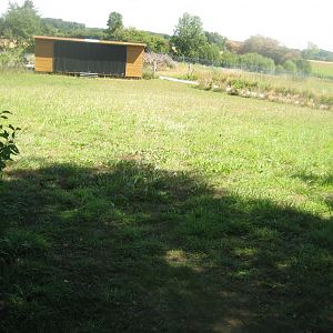 Frydenlund Fuglepark - Show/talk area