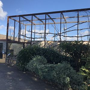 Howler monkey exhibit 100818