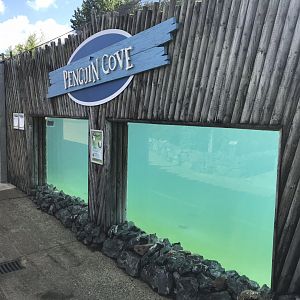 Penguin Cove underwater viewing 100818