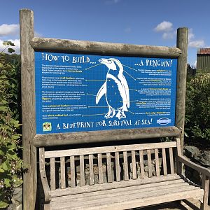Penguin Cove information sign 100818