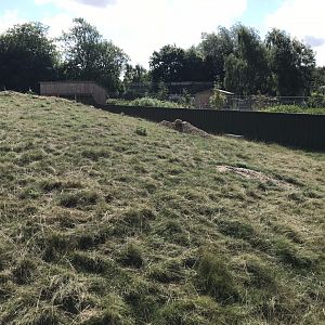 Prairie dog enclosure 100818
