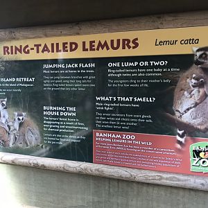 Signage example 100818