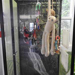 Sugar Glider exhibit - Reptile Room - Special Memories Zoo