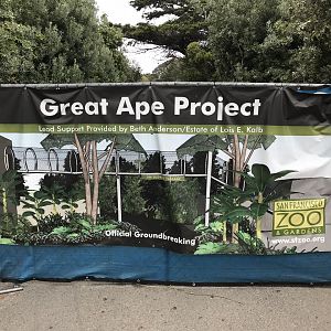 Great Ape Project