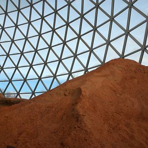inside the Desert Dome 2010