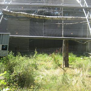 Frydenlund Fuglepark - Kookaburra/pheasant aviary