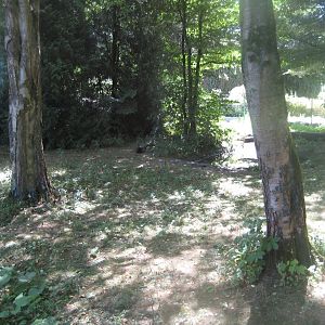 Frydenlund Fuglepark - Egyptian goose exhibit