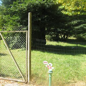 Frydenlund Fuglepark - Rhea exhibit