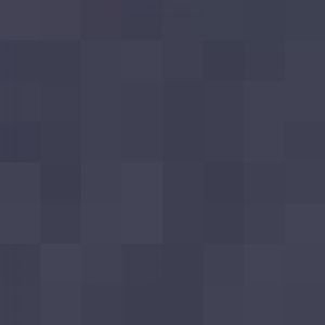 Common brushtail possum