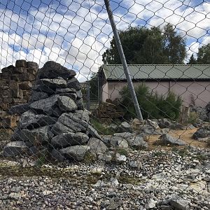 Snow leopard enclosure 100818