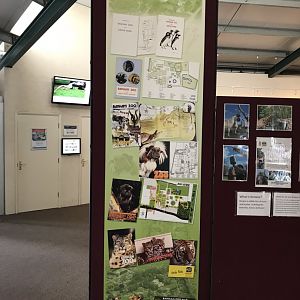 Evolution of Guidebooks display inside Giraffe House 100818
