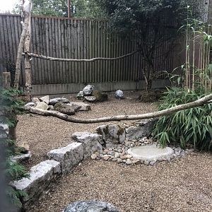 Snowy owl aviary 100818