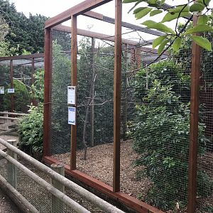 Aviaries 100818