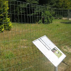 Frydenlund Fuglepark - Rhea exhibit