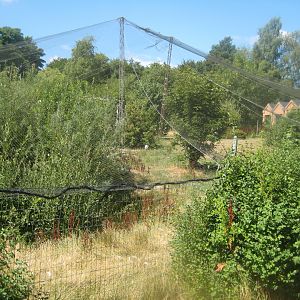 Frydenlund Fuglepark - Free-flight aviary #2