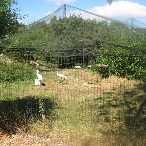 Frydenlund Fuglepark - Free-flight aviary #3