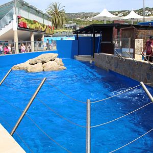 Marineland Mallorca 2018 - sea lion enclosure