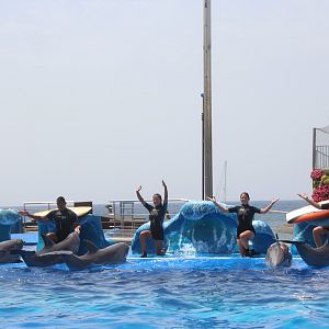 Marineland Mallorca 2018 - Dolphin Show