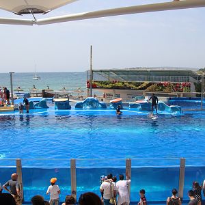 Marineland Mallorca 2018 - Dolphin Stadium