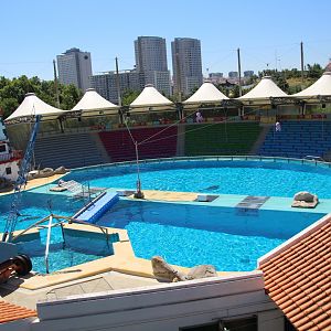 Dolphin Stadium from above