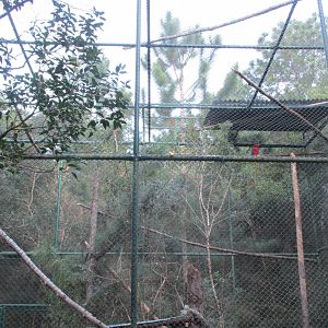 macaw aviary