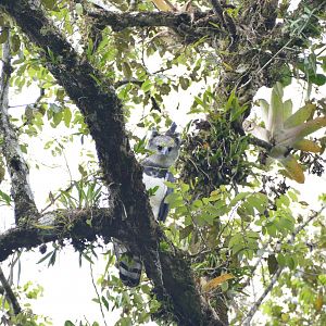 A nice surprise is watching us...