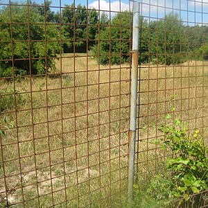 Frydenlund Fuglepark - Ostrich exhibit