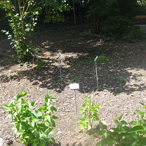 Frydenlund Fuglepark - "Garden of senses"