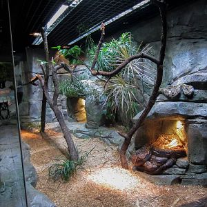 Reticulated Python Exhibit