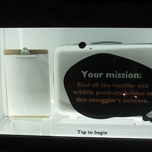 Wildlife Smuggling Interactive Display #4
