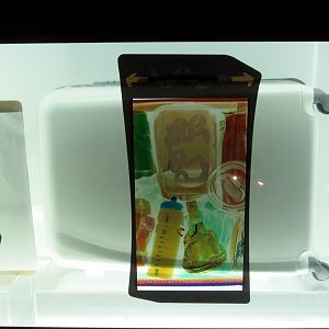 Wildlife Smuggling Interactive Display #6