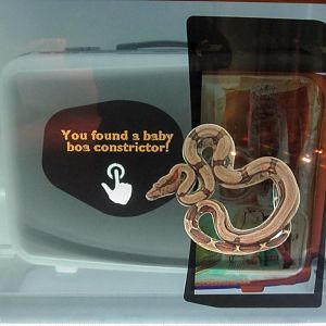 Wildlife Smuggling Interactive Display #7