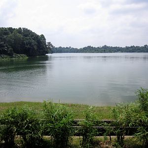 View of the Upper Seletar Reservoir