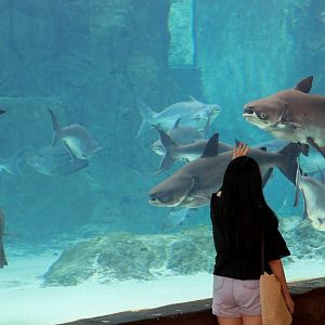 Mekong River exhibit