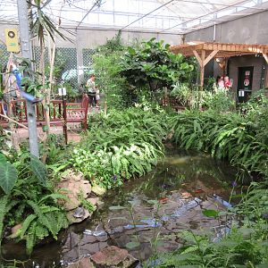 Butterfly House - Turtle Pond