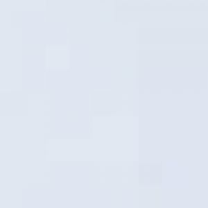 Ussuri brown bears' temporary home