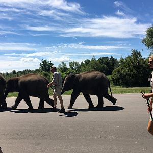 Anime and another individusal I can't remember