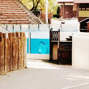 Marineland Canada, 2004 maybe?