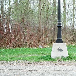 Waterloo Park - rabbit lamp post