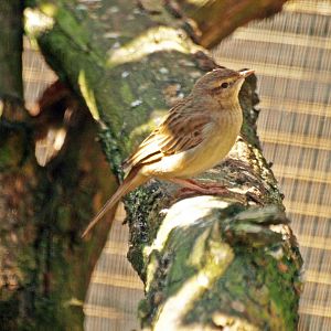 Caversham Wildlife park