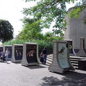 The Photo Ark exhibit outside the Casson