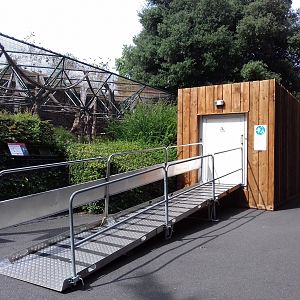 New accessible toilet