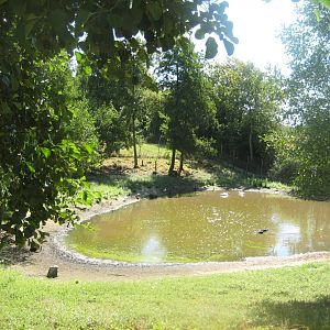 Frydenlund Fuglepark - Waterfowl lake #1
